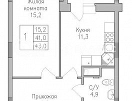 1-комнатная квартира, 42.9 м2