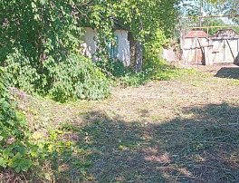 Участок 40 сотка