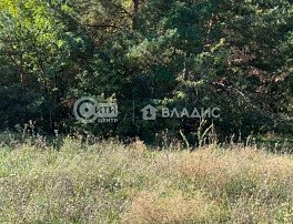 Участок 8 сотка