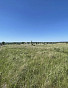 Земельный участок 10.00 соток, фото 1