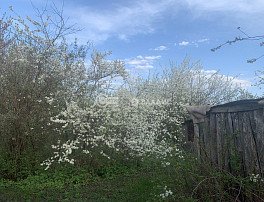 Участок 17 сотка