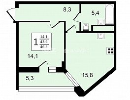 1-комнатная квартира, 46.3 м2