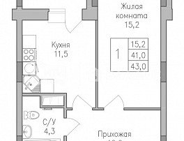 1-комнатная квартира, 43 м2