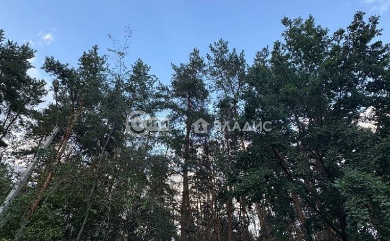 2-комнатная квартира, 65.5 м2, эт. 7, id: 1042996, фото 44