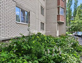 1-комнатная квартира, 47.1 м2