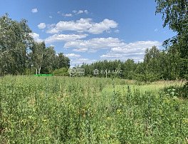 Участок 7 сотка