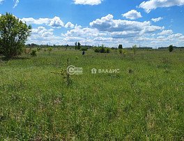 Участок 11 сотка