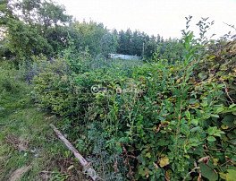 Участок 6 сотка