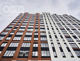 1-комнатная квартира, 20.5 м2