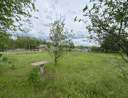 Участок 12 сотка