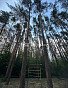 2-комнатная квартира, 65.5 м2, эт. 7, id: 1042996, фото 3