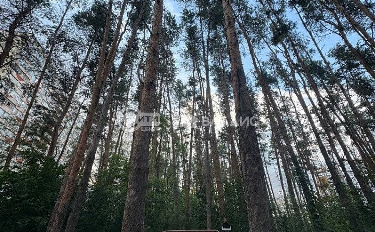 2-комнатная квартира, 65.5 м2, эт. 7, id: 1042996, фото 44