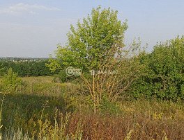 Участок 30 сотка