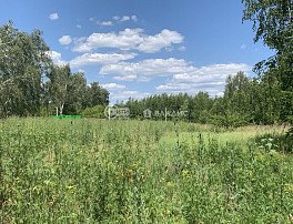Участок 6 сотка