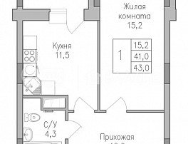 1-комнатная квартира, 43 м2