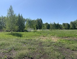 Участок 5 сотка