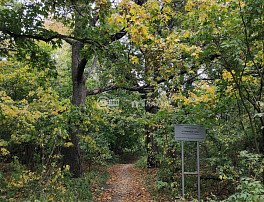 Дом, 112.1 м2, 8 сотка