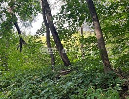 Дом, 35 м2, 5 сотка