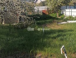 Дом, 50 м2, 6 сотка