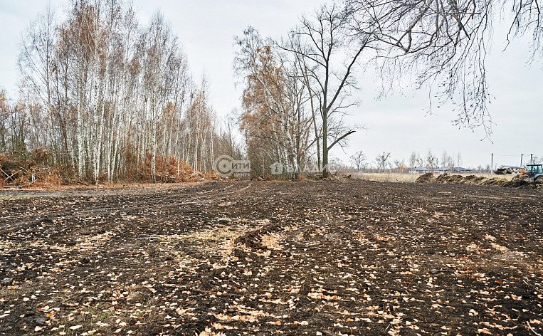 Участок 6.3 сотка, id: 1035632, фото 11