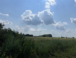 Участок 50 сотка