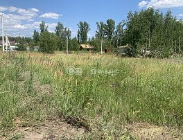 Участок 6 сотка