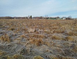 Участок 25 сотка