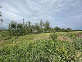 Участок 5 сотка