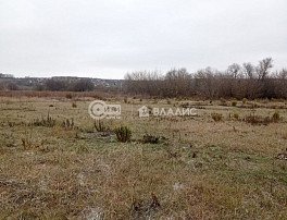 коммерческая