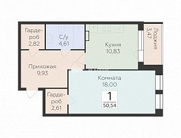 1-комнатная квартира, 50.54 м2