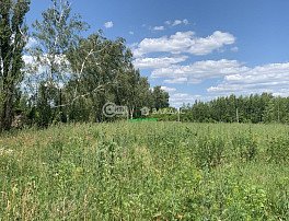 Участок 8 сотка