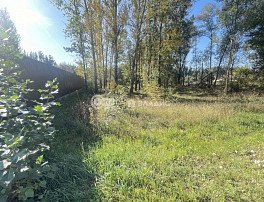 Участок 15 сотка