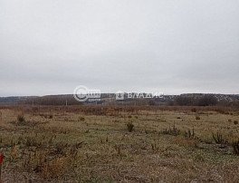 коммерческая
