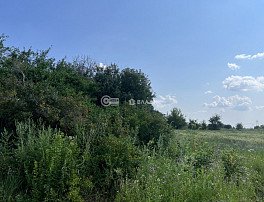 Участок 50 сотка