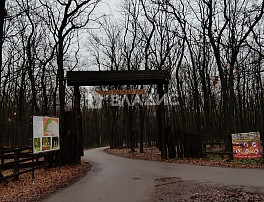 2-Комнатная квартира 48.40м²