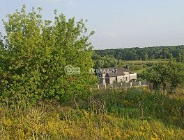 Участок 30 сотка