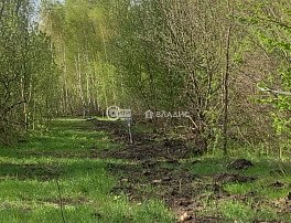 Участок 5 сотка