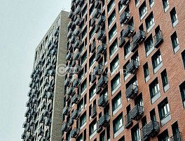 1-комнатная квартира, 49.3 м2