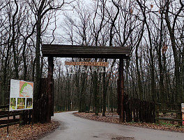 2-Комнатная квартира 48.40м²