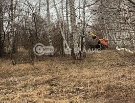 Участок 5.9 сотка