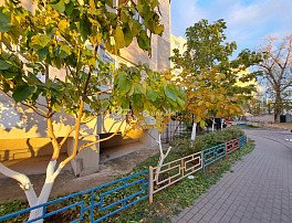 1-комнатная квартира, 50.1 м2