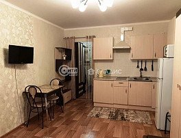 1-комнатная квартира, 24.7 м2