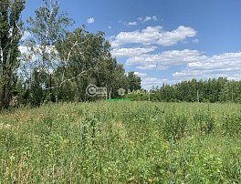 Участок 7 сотка