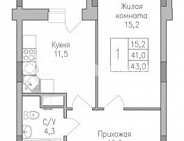 1-комнатная квартира, 43 м2