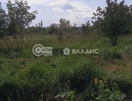 Участок 4.9 сотка