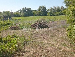 Участок 40 сотка