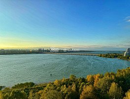 1-комнатная квартира, 43.46 м2