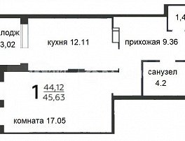 1-комнатная квартира, 45 м2