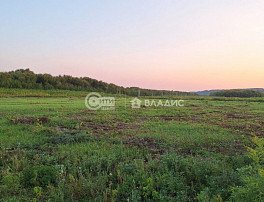 коммерческая