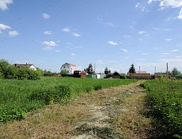 Участок 16 сотка